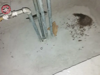 信阳卫生间测漏水价格明细